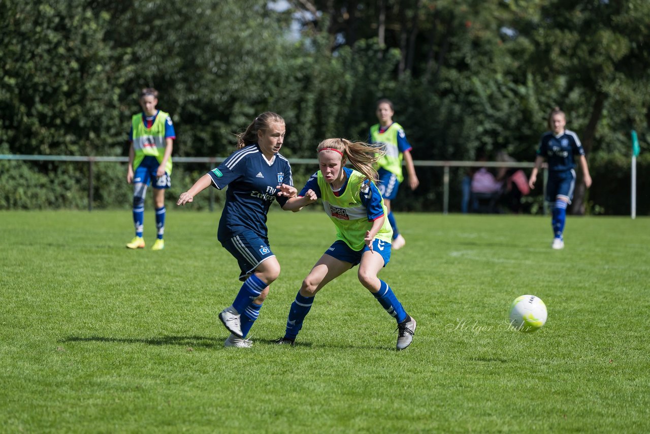 Bild 294 - B-Juniorinnen VfL Pinneberg - HSV : Ergebnis: 1:4